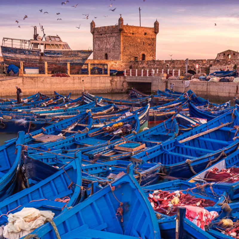 Essaouira Stad (Groeps excursie)
