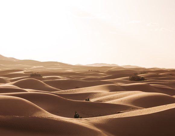 9 daagse familiereis door zuid Marokko