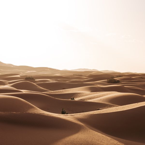 9 daagse familiereis door zuid Marokko