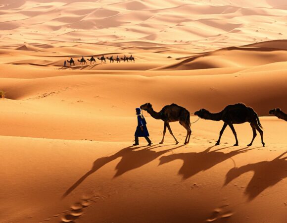 9-daagse Familierondreis door Zuid-Marokko: Marrakech, Dades Vallei en de Woestijn