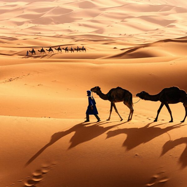 9-daagse Familierondreis door Zuid-Marokko: Marrakech, Dades Vallei en de Woestijn