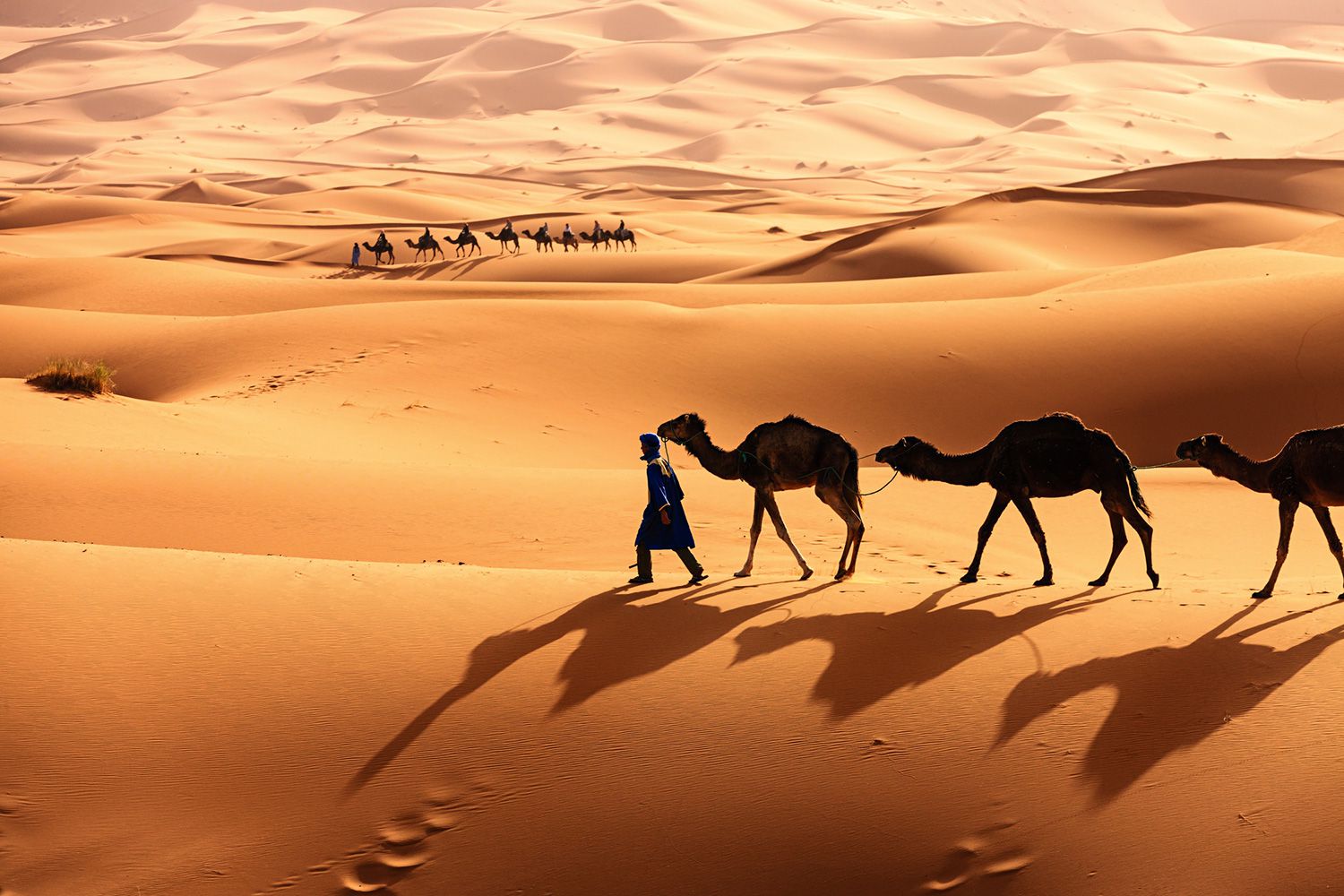 9-daagse Familierondreis door Zuid-Marokko: Marrakech, Dades Vallei en de Woestijn