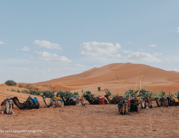 Wat te doen in Marrakech: de ultieme gids voor 2025