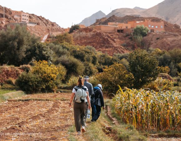Wandelreis in Marokko: Ontdek de Dades- en Mgouna-vallei
